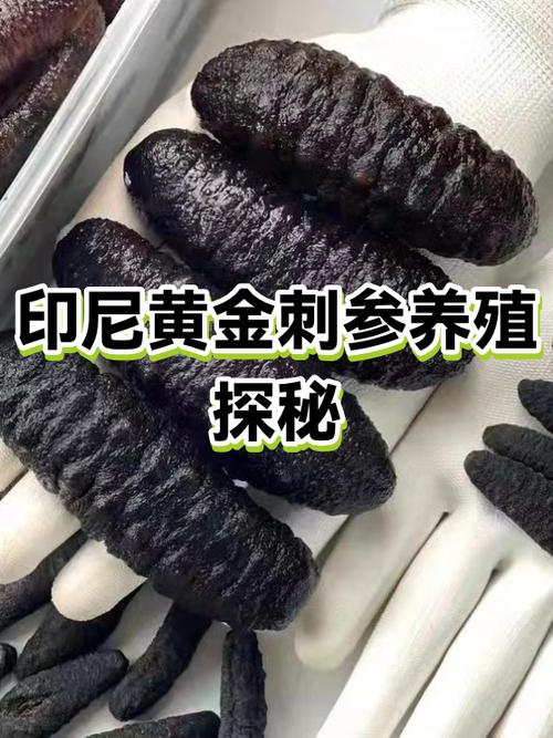 印尼黄金为什么便宜