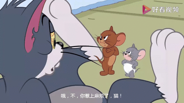 猫和老鼠新版本