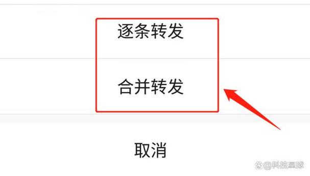 群里怎么语音一个人说话