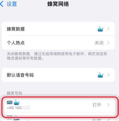 iphone双卡设置拨打默认号码