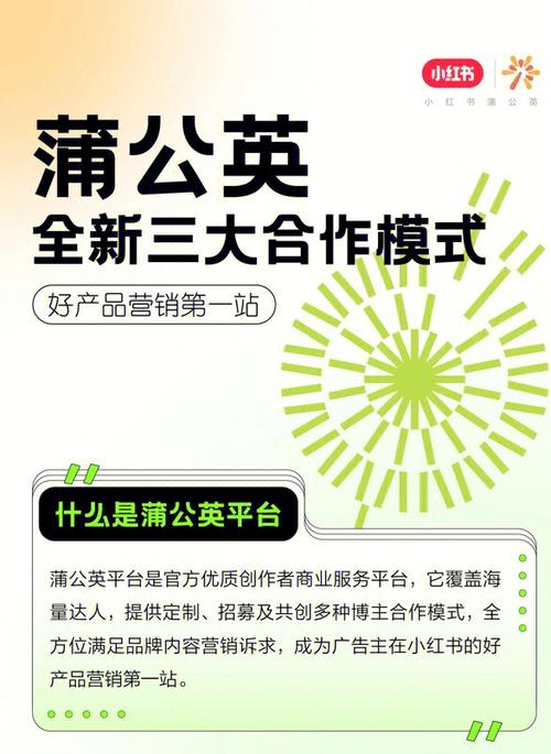 小红书蒲公英登陆
