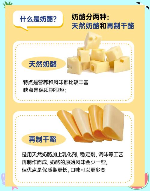 奶酪跟奶油奶酪一样吗