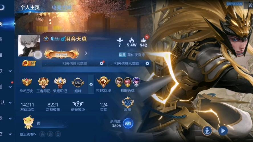 王者看别人主页会有记录吗