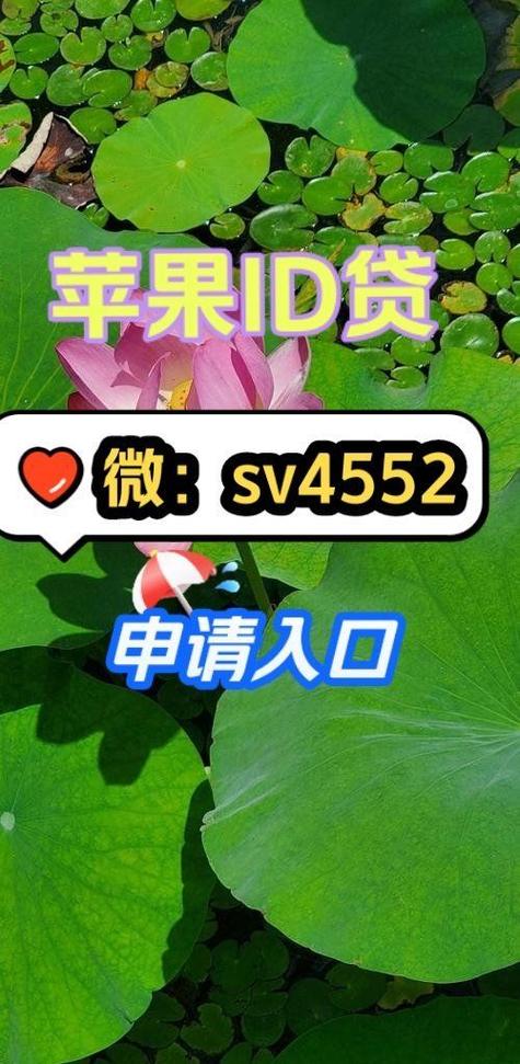 id贷申请入口