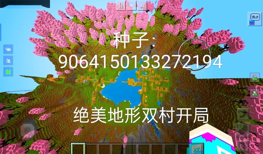 村庄我的世界种子