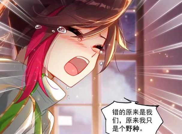 轩宇的身世之谜