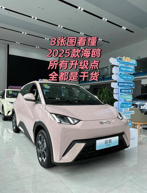 小海鸥新能源汽车2025款图片及价格截图2