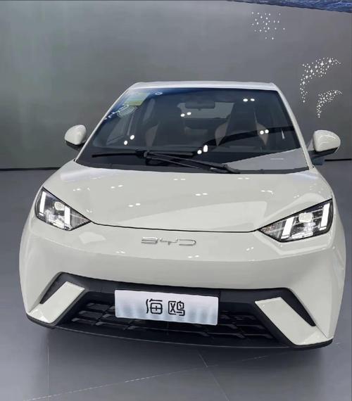 小海鸥新能源汽车2025款图片及价格截图3