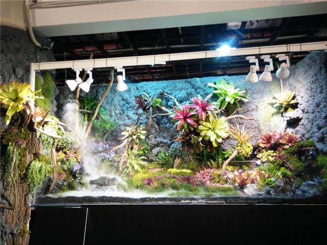 上海水族展览会 上海水族展览会