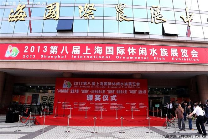 上海水族展览会截图2