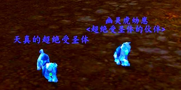 魔兽世界宠物对战必备宠物