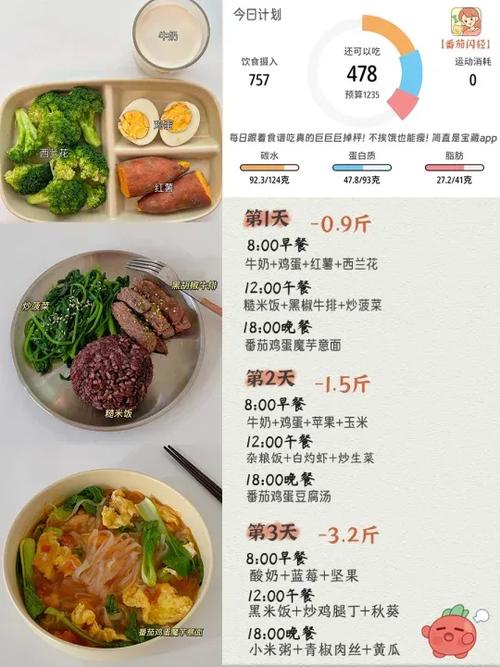 免费减肥食谱app 免费减肥食谱app