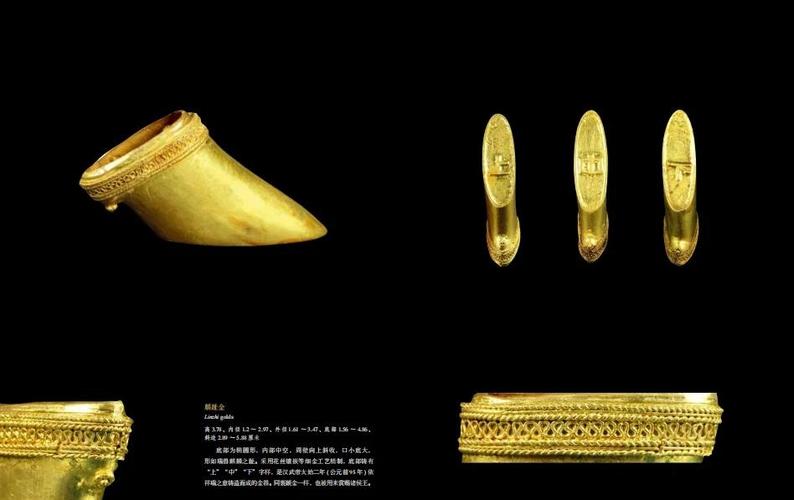 麒麟趾金