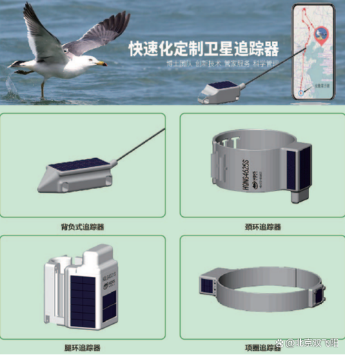 照片能找到个人信息吗