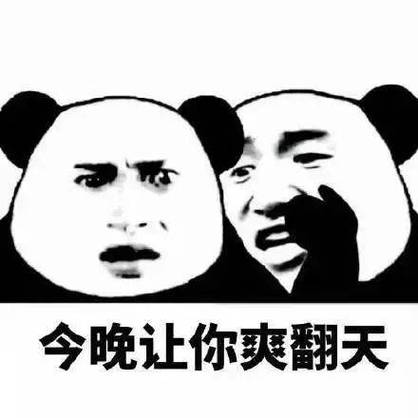 骂人沙雕熊猫表情包
