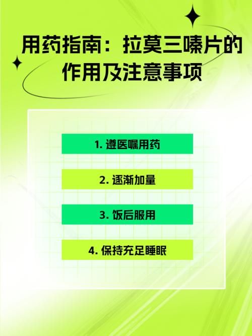 拉莫三嗪片功能主治
