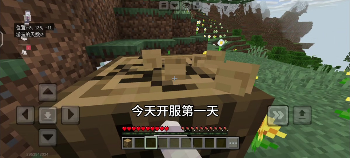 我的世界龙骑士龙蛋