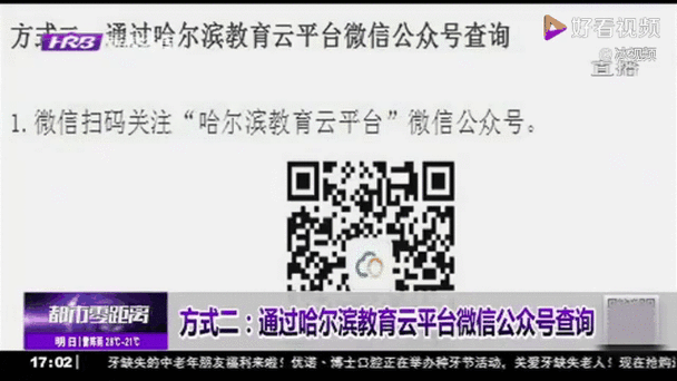 哈尔滨教育局官网通知公告