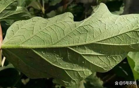 小爱同学打开红外线设置