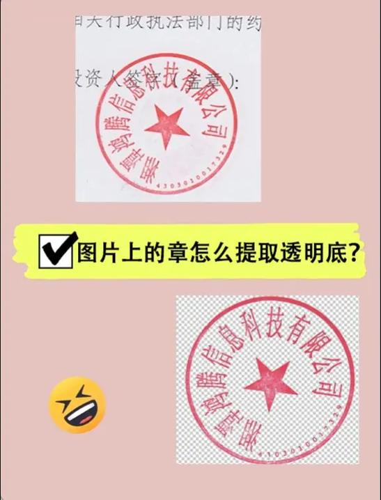 怎么把文件上的公章提取出来截图2