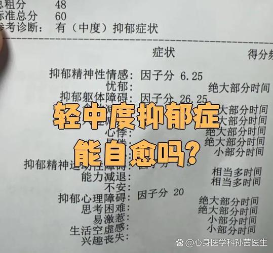 中度抑郁症 中度抑郁症