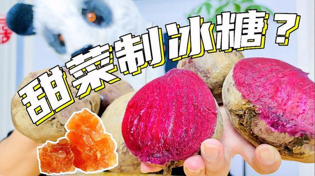 我的世界甜菜根可以做糖吗