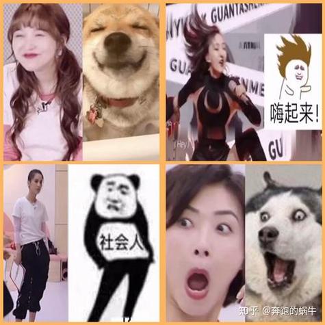 乘风破浪小姐姐红包版截图3