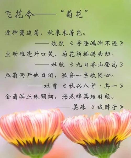 含花的飞花令诗句截图2