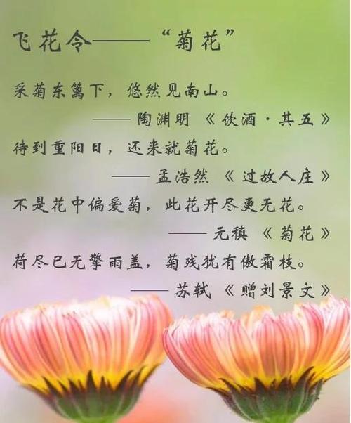 含花的飞花令诗句截图3