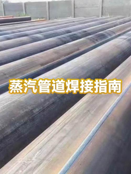 蒸汽导压管需要缓冲器吗