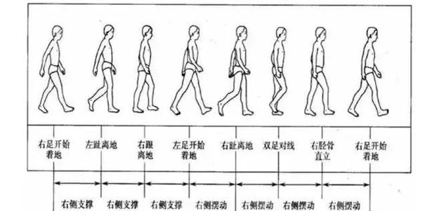 大步走路和小步走路