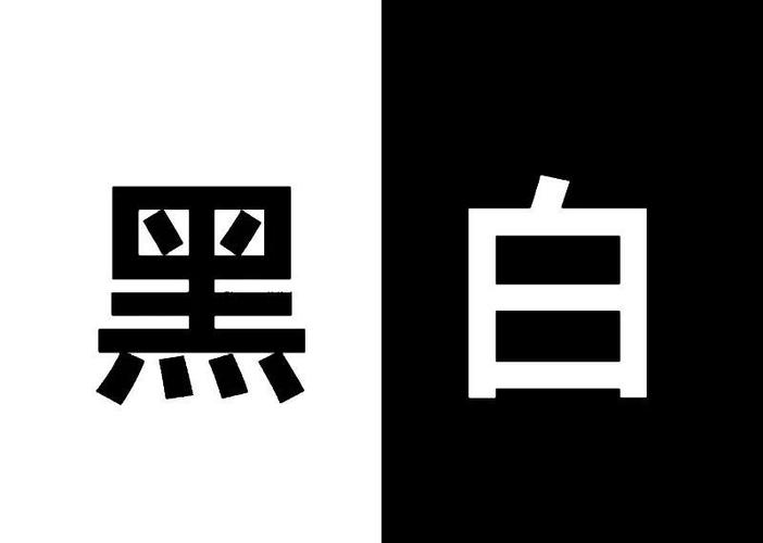 即黑即白是什么意思