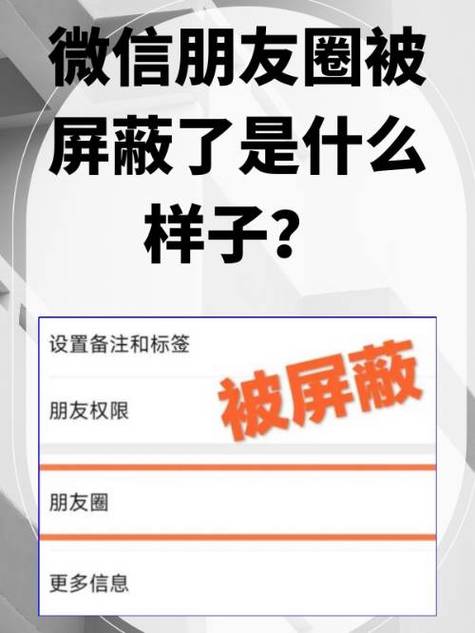 女朋友发朋友圈屏蔽我截图3