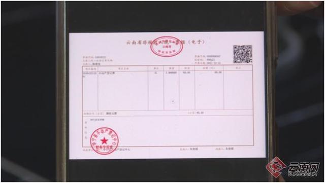 云南非税缴费