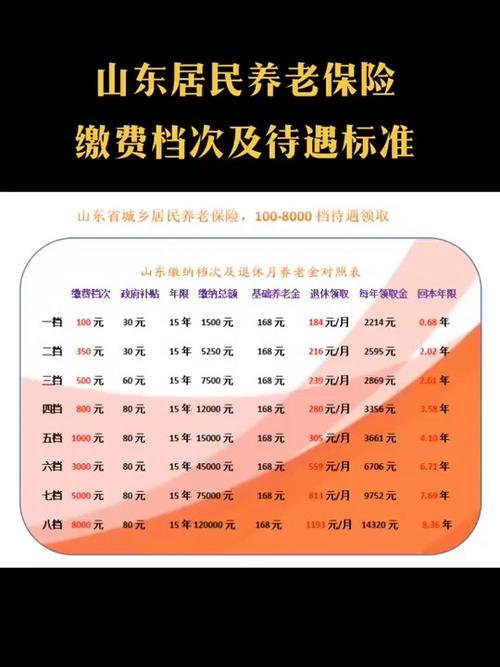 养老保险买哪个档次好截图2