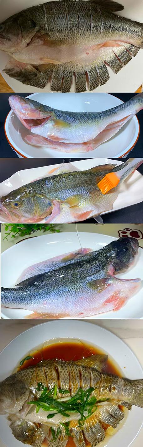 鲈鱼现杀后隔夜还新鲜吗