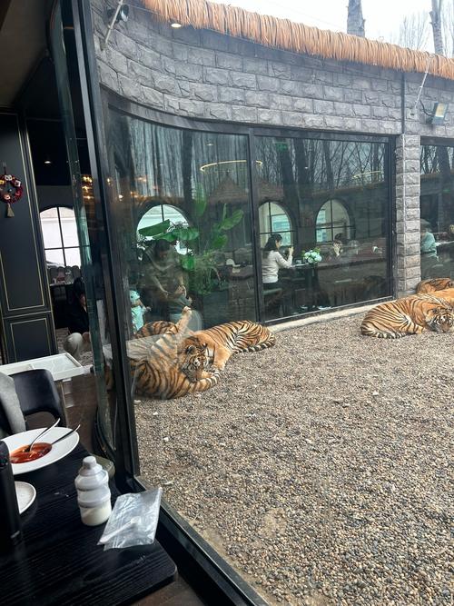 上海小猎豹餐饮