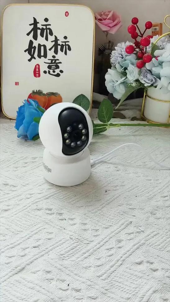 监控家用可对话