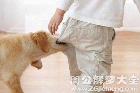 狗咬运气好不好截图2