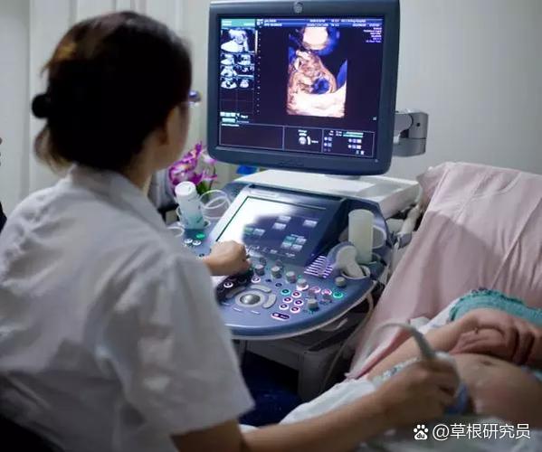 豆豆是女孩还是男孩