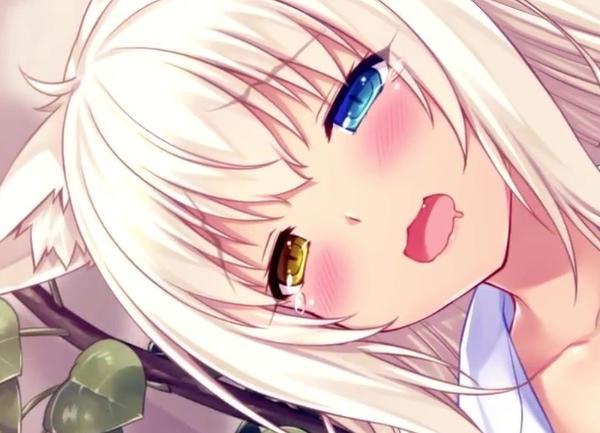 nekopara18x版百度云