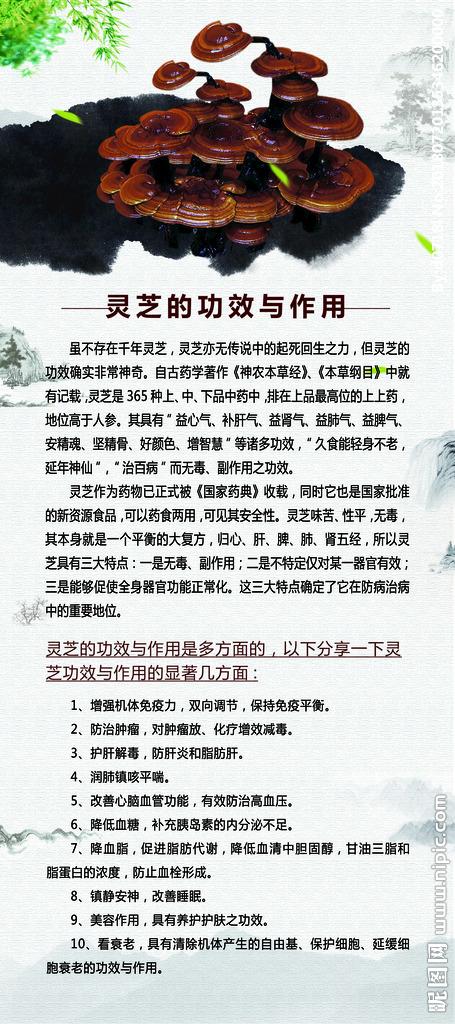灵芝的功能主治