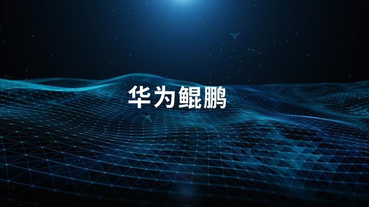 鲲鹏app官方下载安卓最新版本截图3
