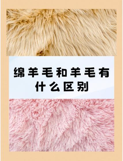羊毛和绵羊毛哪个贵