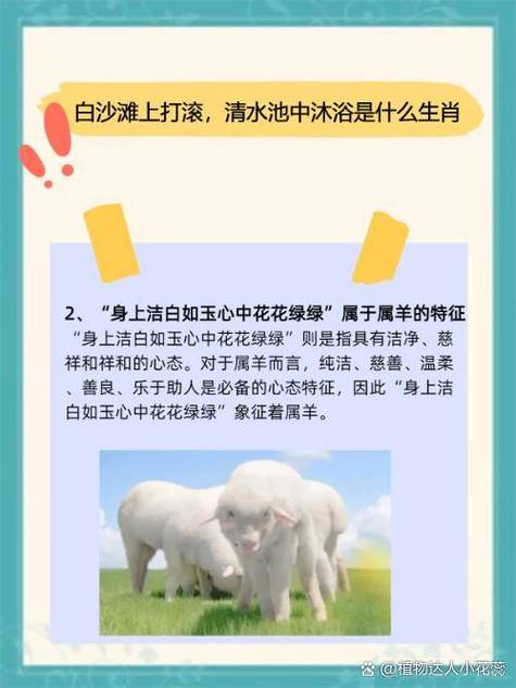白白嫩嫩的正确生肖