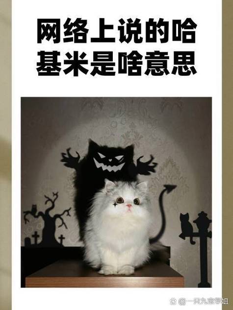 哈基米梗的含义 哈基米梗的含义