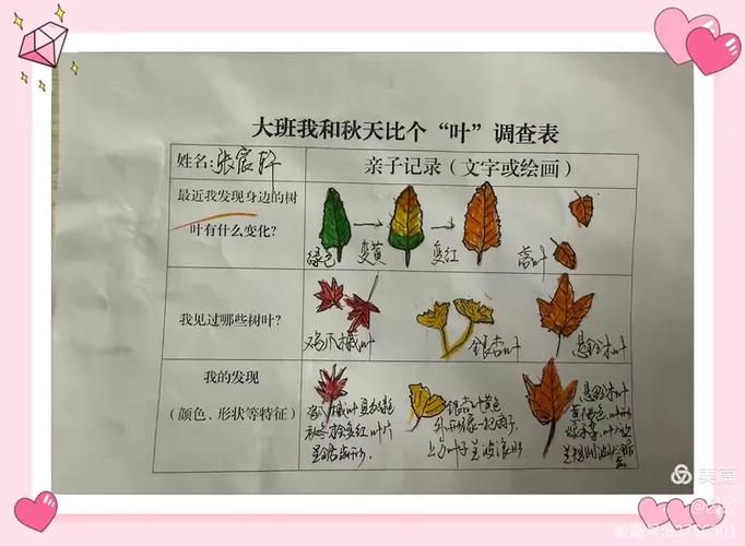 幼儿园有关秋天的网络图