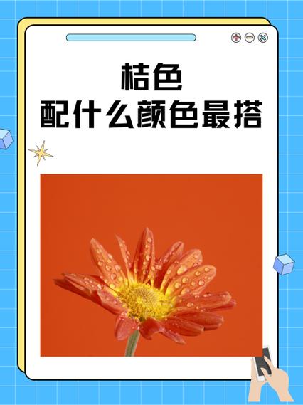 桔色apK