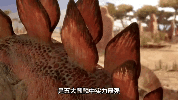 幻兽的上皮 幻兽的上皮