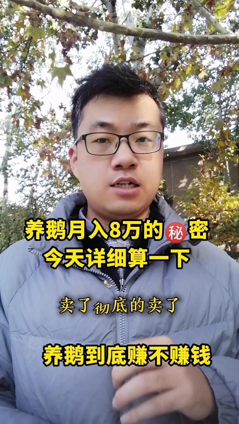 养殖鹅一只鹅的利润一年多少
